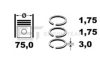 HYUNDAI 230402A900 Piston Ring Kit